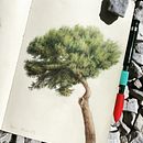 Il mio progetto del corso: Pittura ad acquerello: esplora le tecniche del pennello asciutto Ein Projekt aus dem Bereich Bildende Künste, Malerei, Zeichnung, Aquarellmalerei, Botanische Illustration und Naturalistische Illustration von Sonia Bertazzi - 07.01.2024
