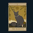 The magician . Un proyecto de Diseño gráfico e Ilustración digital de selva germoglio - 02.10.2023