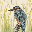 My project for course: Naturalist Illustration with Ballpoint Pen - Common Kingfisher . % Richa Kedia tarafından hazırlanan Geleneksel illüstras, on, Çizim, Gerçekçi Çizim, Doğalcı İllüstras, Ve on projesi - 10.24.2023