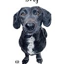Mi proyecto del curso: Vero y Dory . Un projet de Illustration traditionnelle et Illustration naturaliste de rojovero7 - 24.10.2023