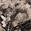 Mein Abschlussprojekt für den Kurs: Tiere zeichnen mit Kohle und Tusche Ein Projekt aus dem Bereich Bildende Künste, Zeichnung, Illustration mit Tinte und Naturalistische Illustration von Hannah - 26.10.2023