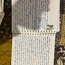 My project for course: Writing Exercises: From the Blank Page to Everyday Practice  . Scriere, Creativitate, Stor, telling, Narrativ și Scriere creativă de Elizabeta Anastasova - 10.26.2023