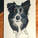 Buntstiftzeichnung Hund. Projekt z dziedziny  R, sunek, R, sunek realist i czn użytkownika Bettina D - 27.10.2023