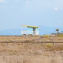 Mon projet du cours : La théorie des couleurs en photographie . % Guillaume Bouché tarafından hazırlanan Fotoğrafçılık, Fotoğraf Rötuşlama, Dijital Fotoğrafçılık, Fotoğrafik Kompozis, on, Ve Renk Teorisi projesi - 10.27.2023