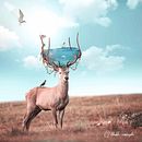 Mon projet du cours : Photomontage et illustrations fantastiques sur Photoshop Ein Projekt aus dem Bereich Fotografie, Collage, Fotoretuschierung, Digitale Illustration, Fotografische Komposition und Fotomontage von dario_mwddb22 - 26.10.2023