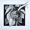 My project for course: Dip Pen and Ink Illustration: Capturing The Natural World. Esboçado, Desenho, Desenho artístico, Sketchbook, Ilustração com tinta e Ilustração naturalista projeto de mark_2000 - 29.10.2023