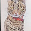 Mi proyecto del curso: Retratos de Mascotas en Lápices de Colores. Un projet de  de Any Fernández - 27.10.2023