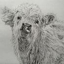 My project for course: Naturalistic Animal Drawing with Graphite Pencil. Un proyecto de Ilustración tradicional, Dibujo a lápiz, Dibujo e Ilustración naturalista				 de marieclaire98 - 06.04.2024