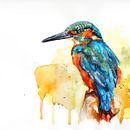 Kingfisher. Projekt z dziedziny Malowanie akwarelą użytkownika suzij - 02.11.2023