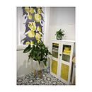 Bathroom Blind. Interior Design, Arts, Crafts, Product Design, and Vector Illustration project by Kristi Robertson - 11.05.2023