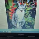 My project for course: Embroidered Pet Portraits: The Thread Painting Technique. Bordado, Ilustração naturalista, e Design têxtil projeto de Feña Cortes Parra - 05.11.2023