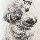 Charcoal Drawing of Spencer. Een project van  Beeldende kunst,  Tekening,  Illustratie met inkt y Naturalistische illustratie van Diane Quee - 05.11.2023