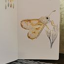 My project for course: Daily Sketching for Creative Inspiration . Ilustrație tradițională, Schițe, Creativitate, Desen și Caiet de schițe de Karola Kruk - 11.06.2023