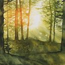 Il mio progetto del corso: Paesaggi incantevoli ad acquerello: dipingi con la luce. Un proyecto de Pintura y Pintura a la acuarela de Daniele Zago - 06.11.2023