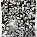 My project for course: Dip Pen and Ink Illustration: Capturing The Natural World. Un projet de Esquisse , Dessin, Dessin artistique, Carnet de croquis, Illustration à l'encre et Illustration naturaliste de naraerosayoo - 07.11.2023