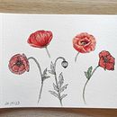 Mi proyecto del curso: Cuaderno botánico en acuarela. Traditional illustration, Watercolor Painting, Botanical Illustration, and Sketchbook project by Maribel - 05.25.2023