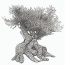 Il mio progetto del corso: Illustrazione surrealista con pennarelli. Drawing, Ink Illustration, Traditional illustration, Pencil Drawing, Realistic Drawing, and Artistic Drawing project by vilamela - 11.10.2023