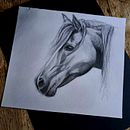 Mon projet du cours : Images réalistes de la faune au crayon graphite Ein Projekt aus dem Bereich Bildende Künste, Bleistiftzeichnung, Zeichnung, Realistische Zeichnung und Naturalistische Illustration von Tifanie Poglajen - 12.11.2023