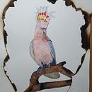 Global Boiling Major Mitchel Cockatoo becoming endangered due to bushfires in Australia. Artesanato, e Pintura em aquarela projeto de skmc_shop - 15.11.2023