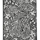 My project for course: Contemporary Printmaking with Linoleum. Un proyecto de Ilustración tradicional, Artesanía, Bellas Artes, Estampación e Ilustración con tinta de Suzanna Watkinson - 14.11.2023
