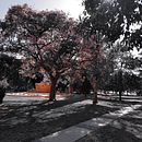 Mi proyecto del curso: Fotografía de viajes con smartphone para principiantes. Un progetto di Fotografia con smartphone, Fotografia all'aperto e Fotografia per Instagram di Rosa Garcia - 15.11.2023