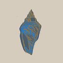 Il mio progetto del corso: Illustrazione sperimentale e creativa con china e acrilico. Un proyecto de Ilustración tradicional y Bellas Artes de Antonio Astore - 16.11.2023