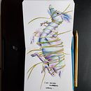 Mon projet du cours : Illustration surréaliste inspirée par la nature. Traditional illustration, Pencil Drawing, Drawing, Artistic Drawing, Naturalistic Illustration, and Colored Pencil Drawing project by Marie Bertin - 11.15.2023