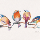 Mi proyecto del curso: Acuarela artística para ilustración de aves. Traditional illustration, Watercolor Painting, Realistic Drawing, and Naturalistic Illustration project by Virginia Torres - 11.16.2023