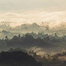 Mi proyecto del curso: Fotografía de paisaje y naturaleza. Fotografia, Fotografia em exteriores, Fotografia para Instagram, Fotografia documental, e Composição fotográfica projeto de Ricardo A. Restrepo L. - 16.11.2023