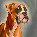 My project for course: Realistic Pet Portraits with Oil Painting. Un proyecto de Bellas Artes, Pintura, Pintura al óleo e Ilustración naturalista				 de zoeybaloey - 16.11.2023