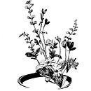My project for course: Contemporary Botanical Illustration with Ink. Un progetto di Illustrazione tradizionale, Disegno artistico, Illustrazione botanica e Illustrazione con inchiostro di Tim Hsieh - 19.11.2023