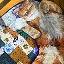 Ginger Takes a Nap. Un proyecto de Pintura de Annalia Romero - 10.11.2023