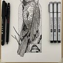 Mi proyecto del curso: Ilustración realista de pájaros con elementos creativos. Ilustração com tinta, Ilustração naturalista, Desenho a lápis, e Desenho projeto de Kin Ruiz - 17.11.2023