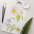 Il mio progetto del corso: Acquerello realistico per composizioni botaniche. Un proyecto de Ilustración tradicional, Pintura, Dibujo, Pintura a la acuarela e Ilustración botánica de Silvia - 20.11.2023