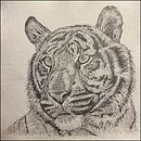 My project for course: Naturalistic Animal Drawing with Graphite Pencil. Ilustração tradicional, Desenho a lápis, Desenho e Ilustração naturalista projeto de Alan Gould - 21.11.2023