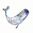 Whales. Un progetto di Illustrazione tradizionale di Marxela Cereseto - 21.11.2023