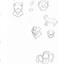 MR. Dog. Un proyecto de Diseño de sotoalex010 - 22.11.2023