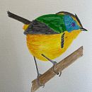 Siete Colores. Watercolor Painting project by Pamela Zamorano Valdovino - 11.15.2023