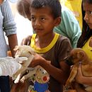 Earthquake Animal Rescue (Ecuador). Un projet de Photographie de John Keeble - 22.11.2023