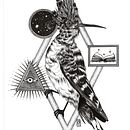 My project for course: Realistic Illustration of Birds with Imaginative Elements. Een project van Tekening met potlood,  Tekening,  Illustratie met inkt y Naturalistische illustratie van Valentina Tassini - 22.11.2023