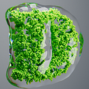 Mi proyecto del curso: Lettering 3D animado con X-Particles . % javoacr tarafından hazırlanan Hareketli Grafikler, 3D, Animas, on, Fotoğraf Post Prodüksi, on, Tipografi, 3D Animas, on, Ve 3D Harflendirme projesi - 11.20.2023