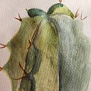 Cactus . Een project van  Beeldende kunst y Aquarelschilderen van Chrees Jubilee - 23.11.2023