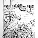 Mon projet du cours : Illustration à l'encre et à la plume : représentez le monde naturel. Un projet de Esquisse , Dessin, Dessin artistique, Carnet de croquis, Illustration à l'encre et Illustration naturaliste de Bruno Parmentier - 28.11.2023