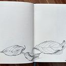 My project for course: Illustrated Diary: Fill Your Sketchbook with Experiences. Un progetto di Illustrazione tradizionale, Bozzetti, Disegno, Sketchbook e Illustrazione con inchiostro di julia9415 - 25.11.2023