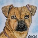 Mi proyecto del curso: Retratos de Mascotas en Lápices de Colores . Ilustrasi tradisional & Ilustrasi Naturalistik proyek oleh 098073054matias - 11.28.2023