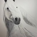 My project for course: Expressive Animal Portraits in Watercolor. Un projet de Illustration traditionnelle, Aquarelle, Dessin réaliste et Illustration naturaliste de Tish ODell - 11.12.2023