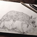 My project for course: Naturalistic Animal Drawing with Graphite Pencil. Projekt z dziedziny Trad, c, jna ilustracja, R, sunek ołówkiem,  R, sunek, Ilustracja naturalist i czna użytkownika eluned_eleven - 30.11.2023