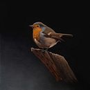 Mon projet du cours : Peinture à l'huile classique et portrait naturaliste d'oiseaux. Un projet de Beaux Arts, Peinture, Peinture à l'huile et Illustration naturaliste de Claudia Michaud - 28.11.2023