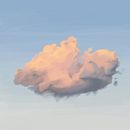 Il mio progetto del corso: Pennelli e pixel: introduzione alla pittura digitale con Photoshop. Un projet de Illustration traditionnelle, Illustration numérique, Dessin numérique , et Peinture numérique de Anna Danielli - 01.12.2023