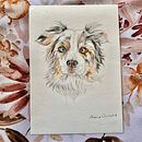 Pet portrait  Ein Projekt aus dem Bereich Handwerk von Maria Arnold - 01.12.2023